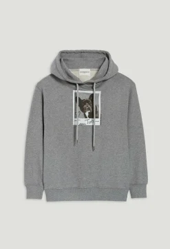 Best Sale Marled Grey Jean Toto Hooded Sweatshirt Women Sweaters And Cardigans